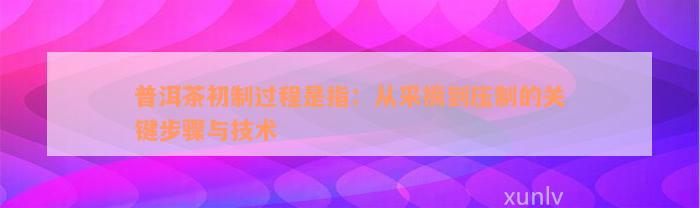 普洱茶初制过程是指：从采摘到压制的关键步骤与技术