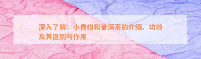 深入了解：小青柑和普洱茶的介绍、功效及其区别与作用