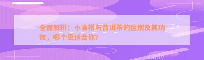 全面解析：小青柑与普洱茶的区别及其功效，哪个更适合你？