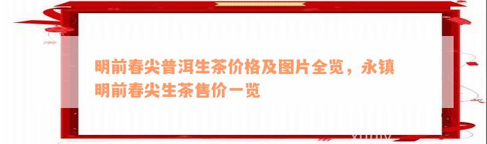 明前春尖普洱生茶价格及图片全览，永镇明前春尖生茶售价一览