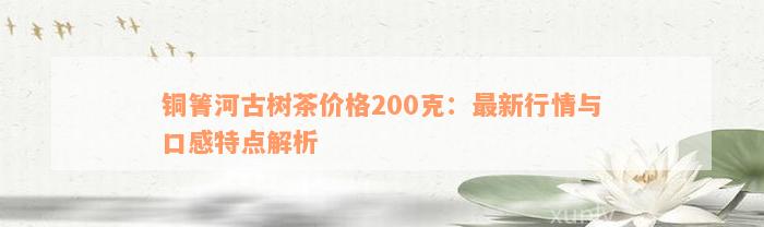 铜箐河古树茶价格200克：最新行情与口感特点解析