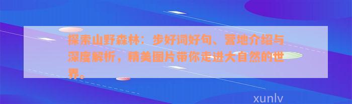 探索山野森林：步好词好句、营地介绍与深度解析，精美图片带你走进大自然的世界。