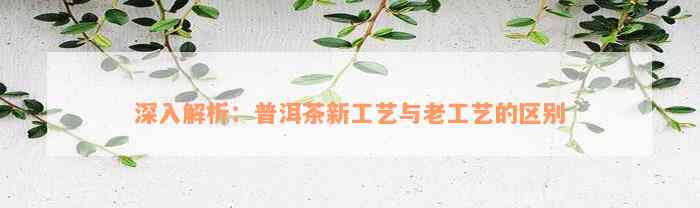 深入解析：普洱茶新工艺与老工艺的区别