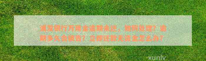 浦发银行万用金逾期未还，如何处理？逾期多久会被告？立即还款无资金怎么办？