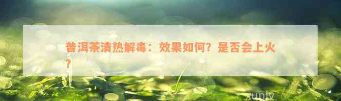 普洱茶清热解毒：效果如何？是否会上火？