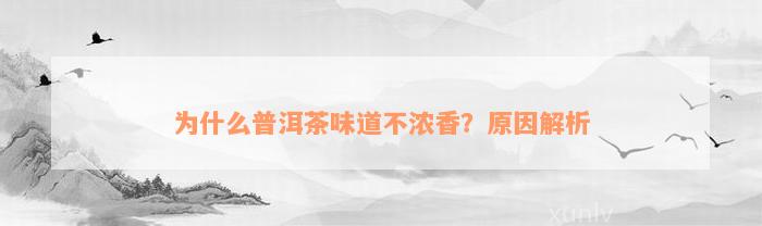 为什么普洱茶味道不浓香？原因解析