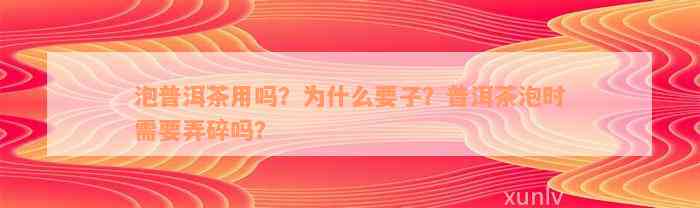 泡普洱茶用吗？为什么要子？普洱茶泡时需要弄碎吗？