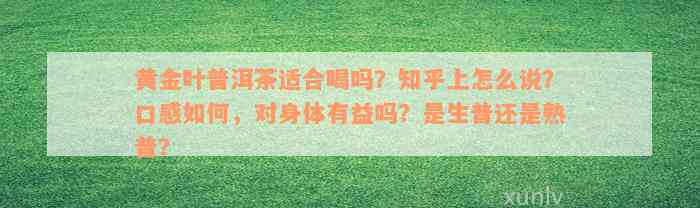 黄金叶普洱茶适合喝吗？知乎上怎么说？口感如何，对身体有益吗？是生普还是熟普？