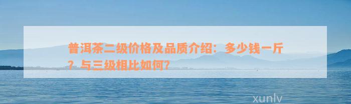 普洱茶二级价格及品质介绍：多少钱一斤？与三级相比如何？