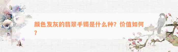 颜色发灰的翡翠手镯是什么种？价值如何？