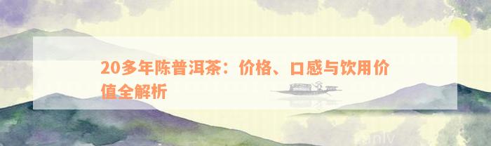20多年陈普洱茶：价格、口感与饮用价值全解析