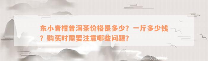 东小青柑普洱茶价格是多少？一斤多少钱？购买时需要注意哪些问题？