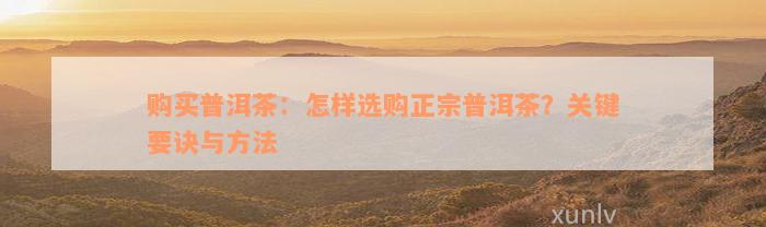 购买普洱茶：怎样选购正宗普洱茶？关键要诀与方法