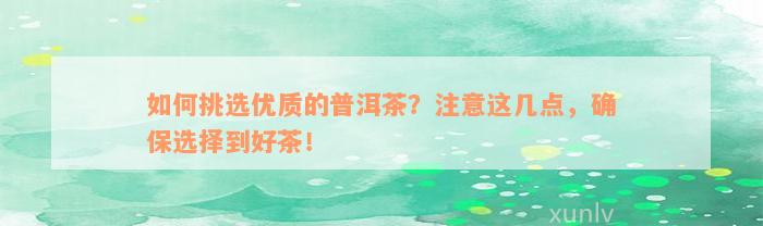 如何挑选优质的普洱茶？注意这几点，确保选择到好茶！