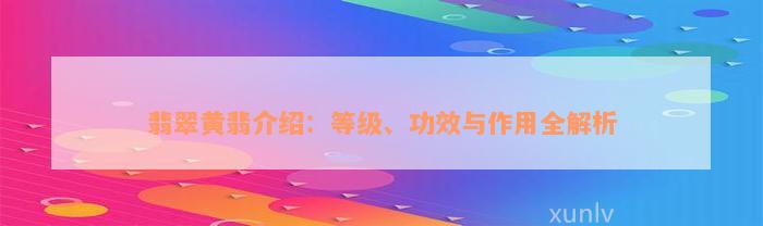 翡翠黄翡介绍：等级、功效与作用全解析