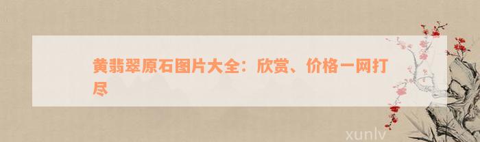 黄翡翠原石图片大全：欣赏、价格一网打尽