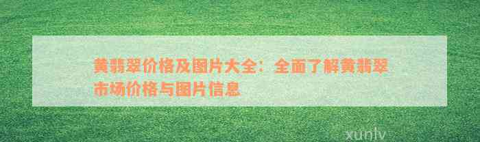 黄翡翠价格及图片大全：全面了解黄翡翠市场价格与图片信息