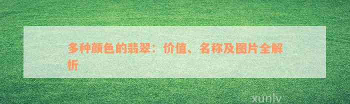 多种颜色的翡翠：价值、名称及图片全解析