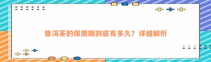 普洱茶的保质期到底有多久？详细解析