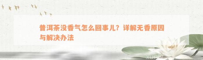 普洱茶没香气怎么回事儿？详解无香原因与解决办法