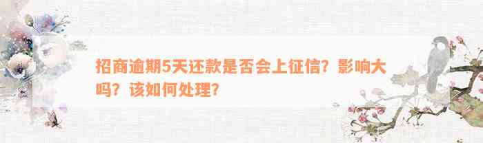 招商逾期5天还款是否会上征信？影响大吗？该如何处理？