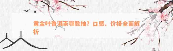 黄金叶普洱茶哪款抽？口感、价格全面解析