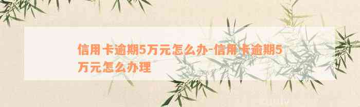 信用卡逾期5万元怎么办-信用卡逾期5万元怎么办理