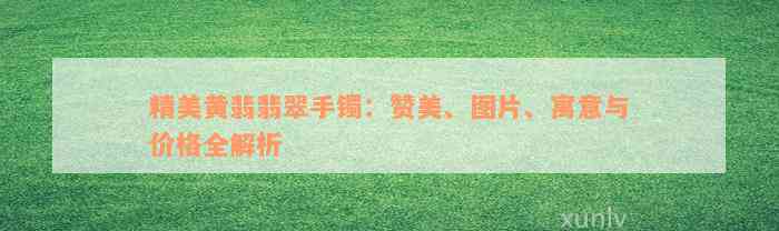 精美黄翡翡翠手镯：赞美、图片、寓意与价格全解析