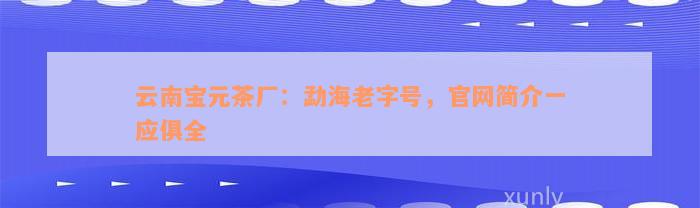 云南宝元茶厂：勐海老字号，官网简介一应俱全