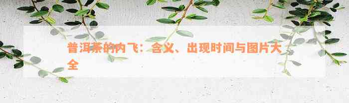 普洱茶的内飞：含义、出现时间与图片大全