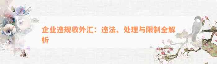 企业违规收外汇：违法、处理与限制全解析