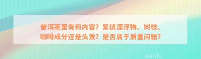 普洱茶里有何内容？絮状漂浮物、树枝、咖啡成分还是头发？是否属于质量问题？