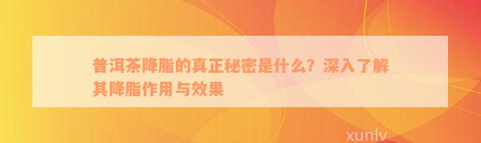 普洱茶降脂的真正秘密是什么？深入了解其降脂作用与效果