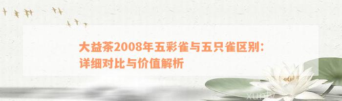 大益茶2008年五彩雀与五只雀区别：详细对比与价值解析