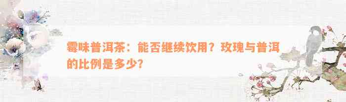 霉味普洱茶：能否继续饮用？玫瑰与普洱的比例是多少？