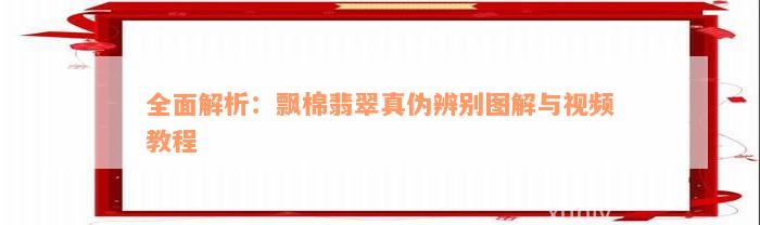 全面解析：飘棉翡翠真伪辨别图解与视频教程