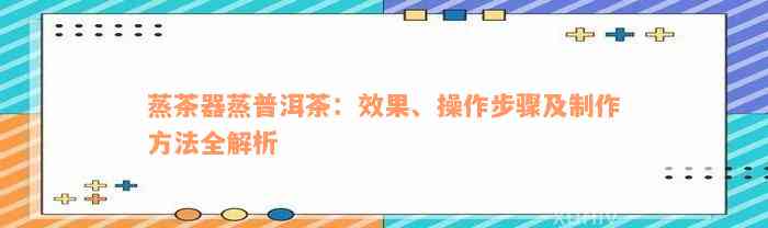 蒸茶器蒸普洱茶：效果、操作步骤及制作方法全解析