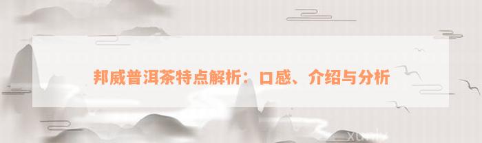 邦威普洱茶特点解析：口感、介绍与分析