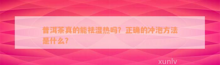 普洱茶真的能祛湿热吗？正确的冲泡方法是什么？