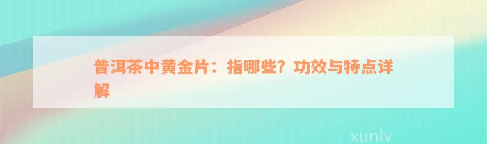 普洱茶中黄金片：指哪些？功效与特点详解