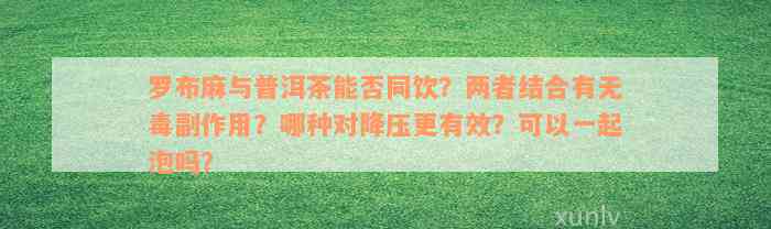 罗布麻与普洱茶能否同饮？两者结合有无毒副作用？哪种对降压更有效？可以一起泡吗？