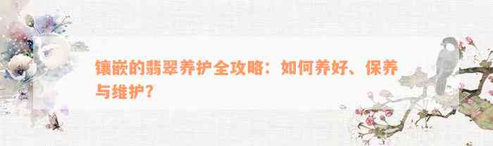 镶嵌的翡翠养护全攻略：如何养好、保养与维护？