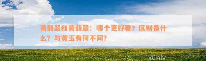 黄翡翠和黄翡翠：哪个更好看？区别是什么？与黄玉有何不同？