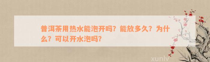 普洱茶用热水能泡开吗？能放多久？为什么？可以开水泡吗？