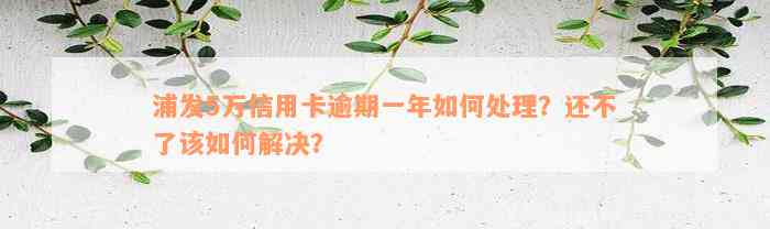 浦发5万信用卡逾期一年如何处理？还不了该如何解决？