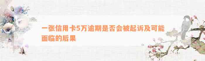 一张信用卡5万逾期是否会被起诉及可能面临的后果