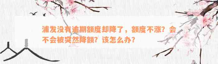 浦发没有逾期额度却降了，额度不涨？会不会被突然降额？该怎么办？