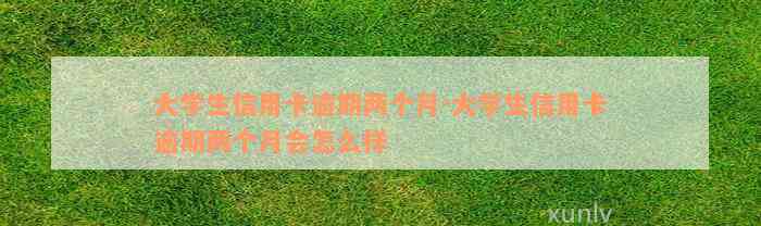 大学生信用卡逾期两个月-大学生信用卡逾期两个月会怎么样