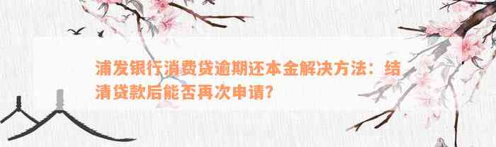 浦发银行消费贷逾期还本金解决方法：结清贷款后能否再次申请？