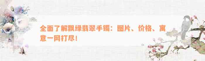 全面了解飘绿翡翠手镯：图片、价格、寓意一网打尽！